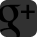 Google+