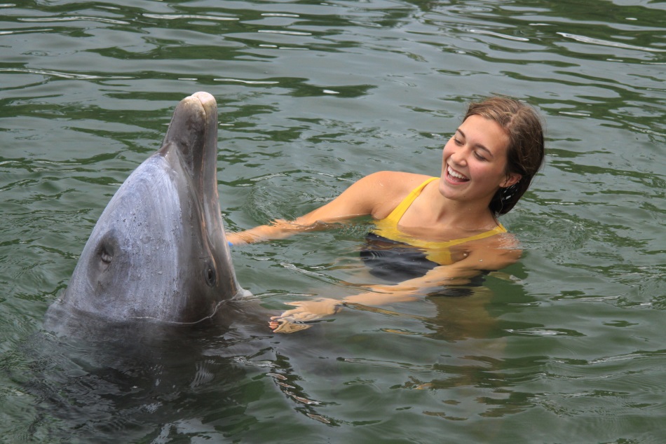 swim with dolphins florida
