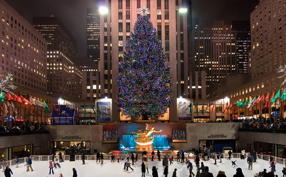 Screen Shot 2015-11-01 at 11.49.42 AM