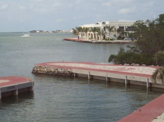 destination-dolphins1