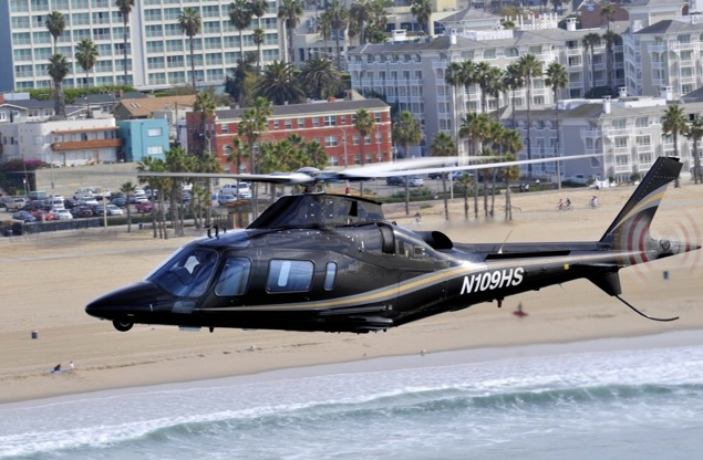 destination-dolphins2